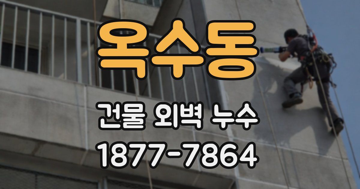 옥수동 건물 외벽 누수