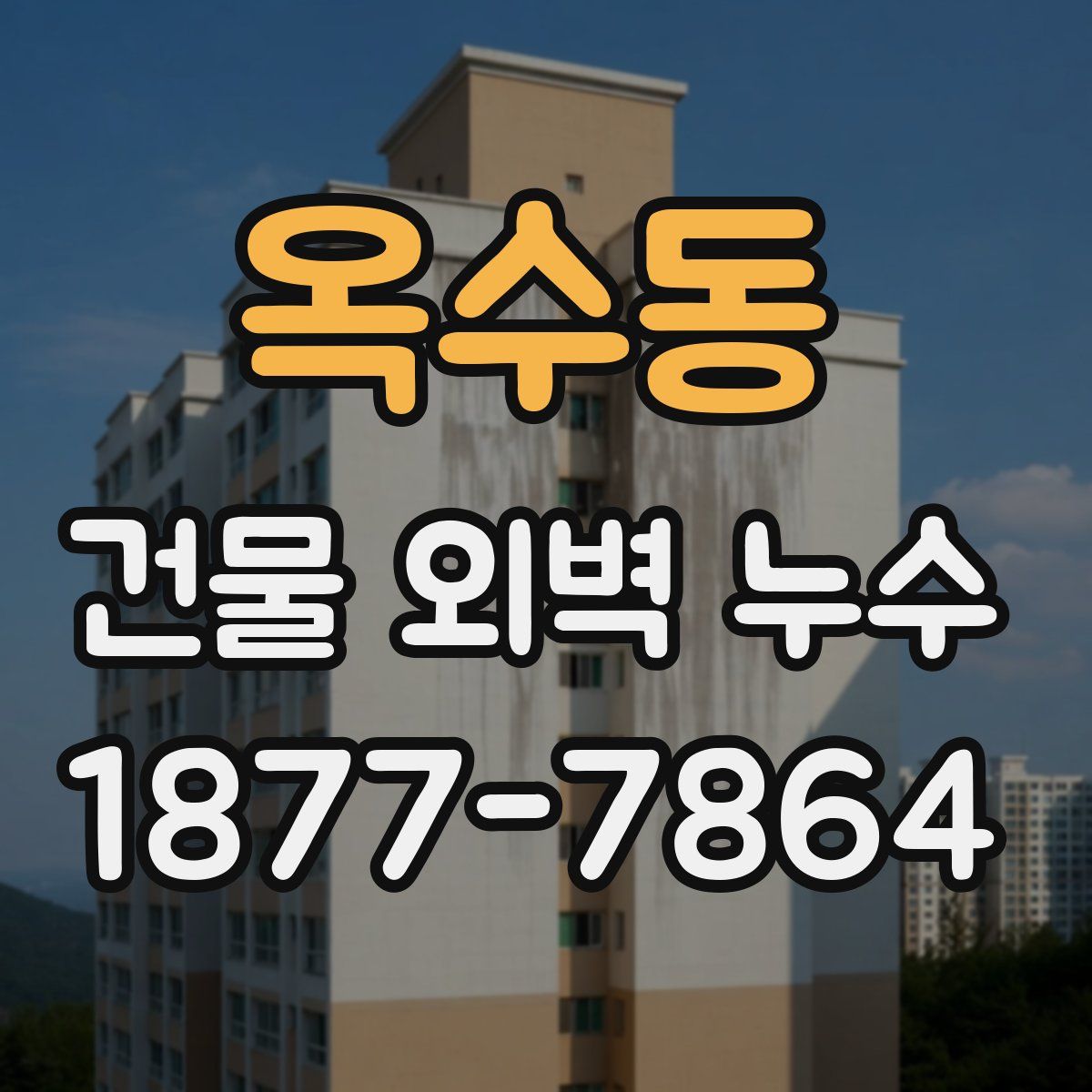 옥수동 건물 외벽 누수