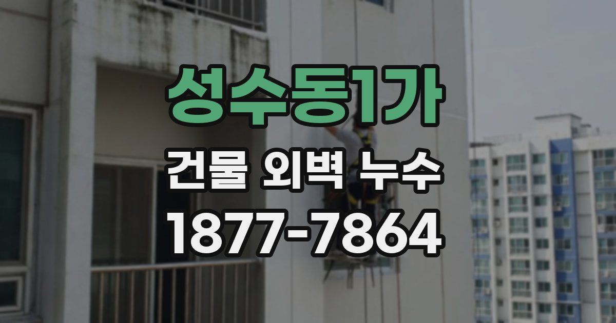 성수동1가 건물 외벽 누수