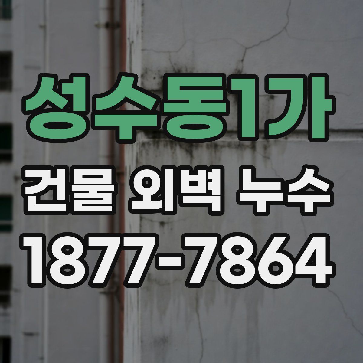 성수동1가 건물 외벽 누수