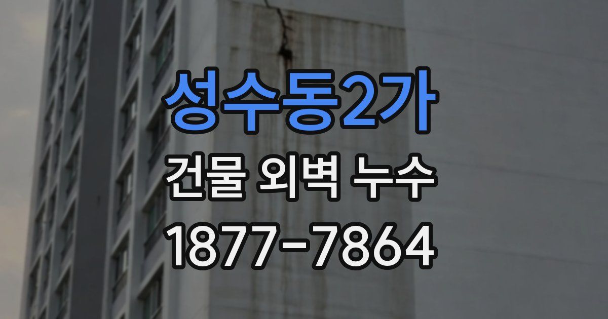 성수동2가 건물 외벽 누수
