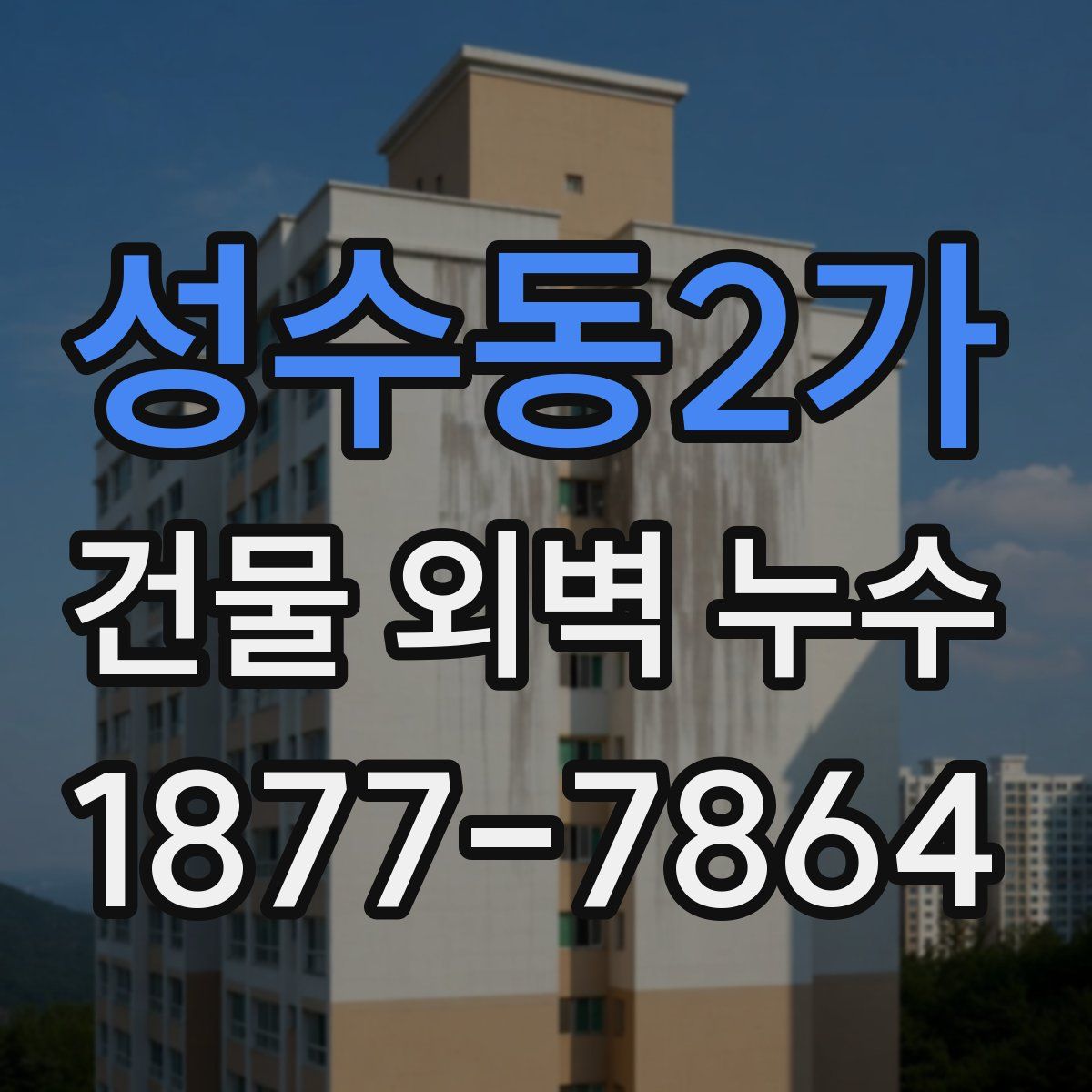 성수동2가 건물 외벽 누수