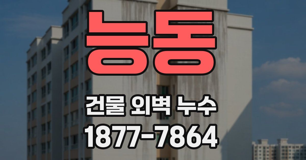 능동 건물 외벽 누수
