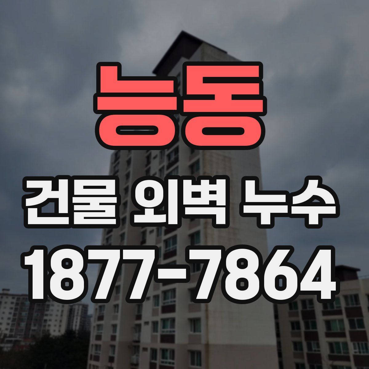 능동 건물 외벽 누수