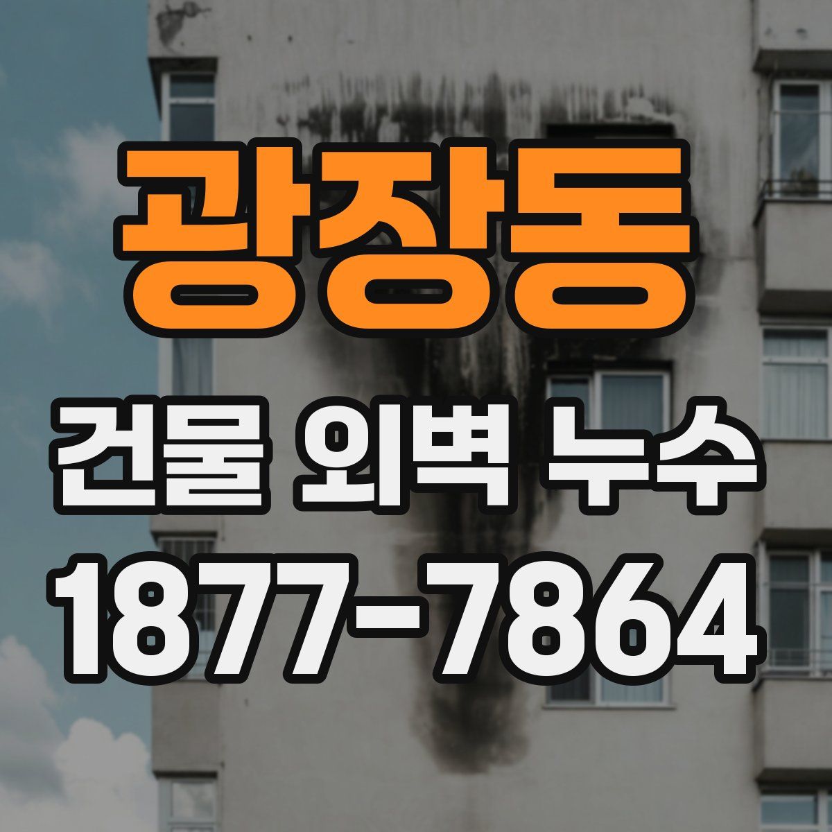 광장동 건물 외벽 누수