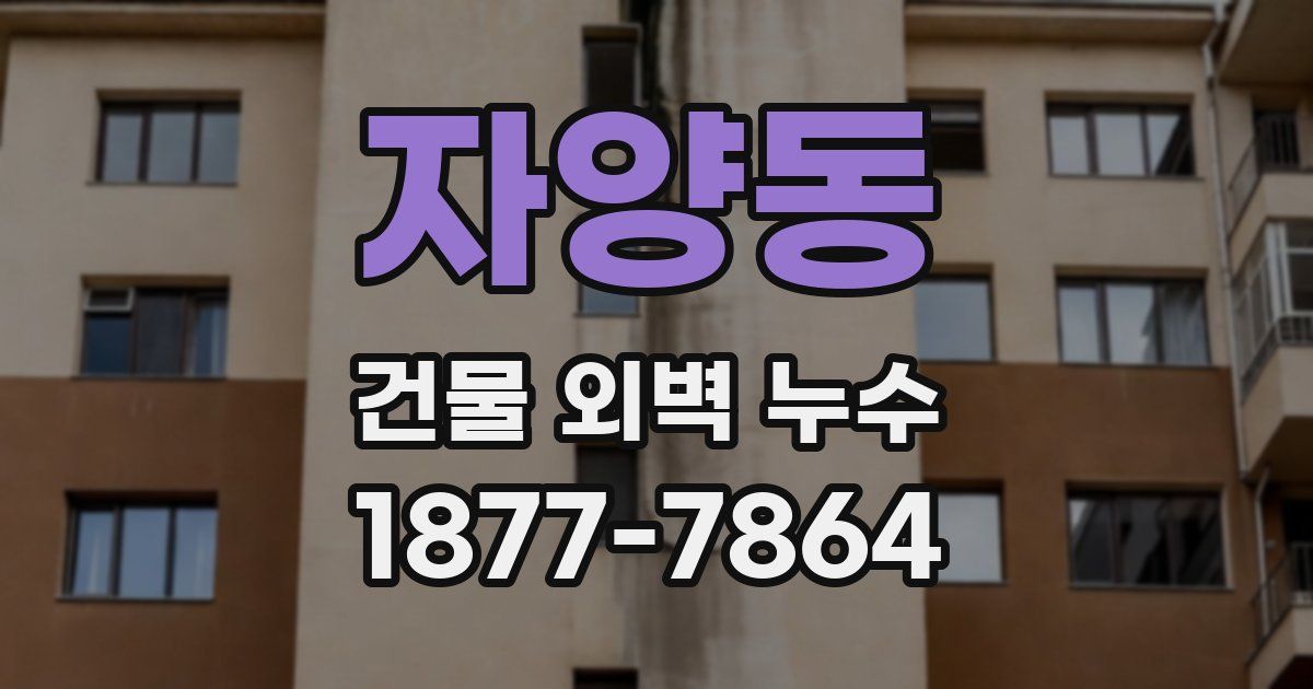 자양동 건물 외벽 누수