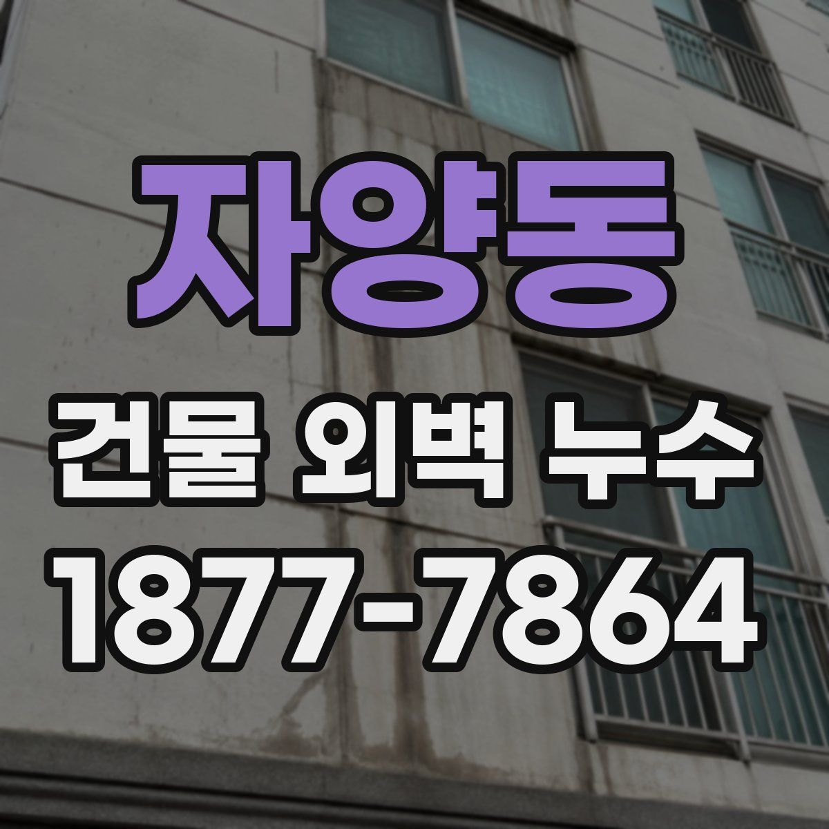 자양동 건물 외벽 누수