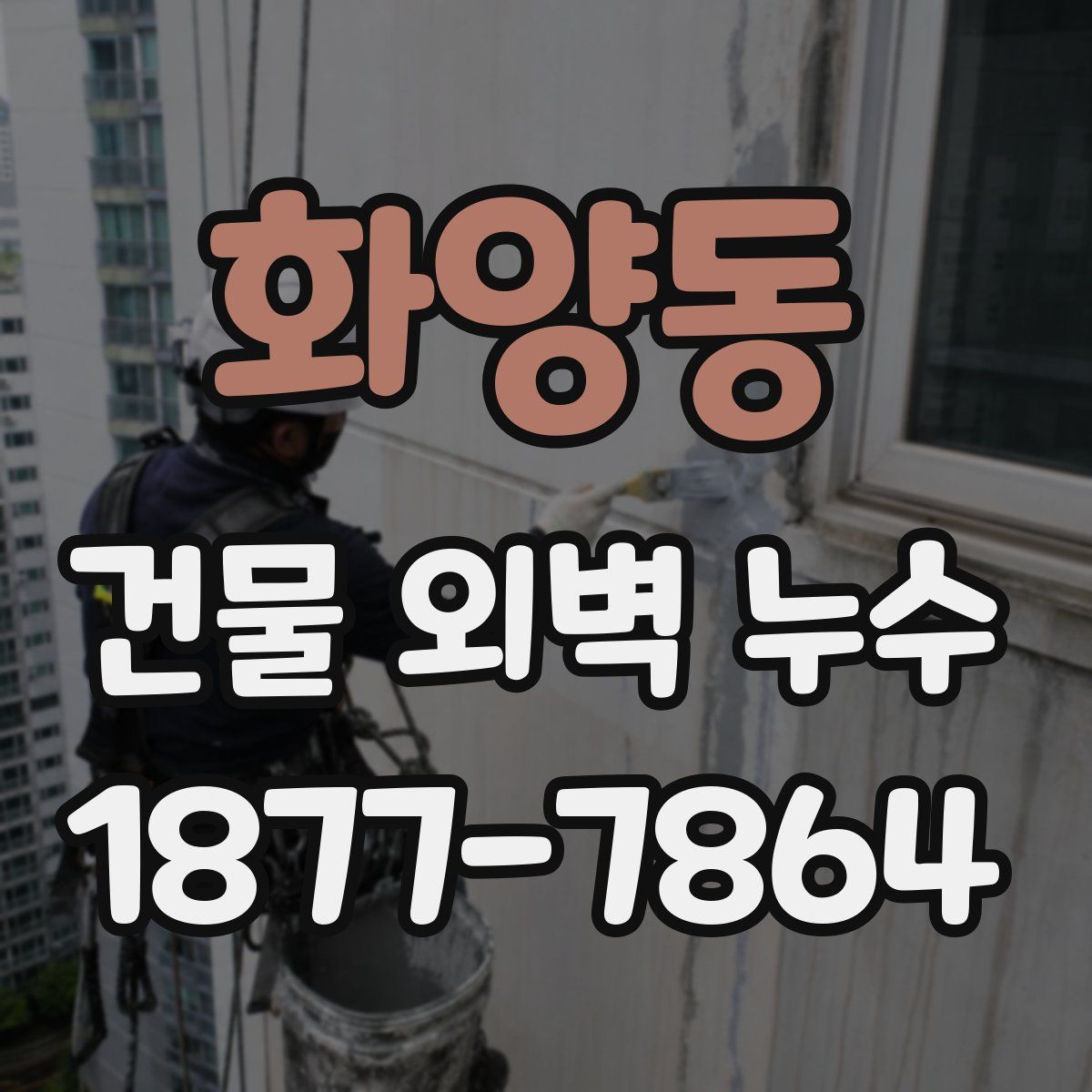 화양동 건물 외벽 누수