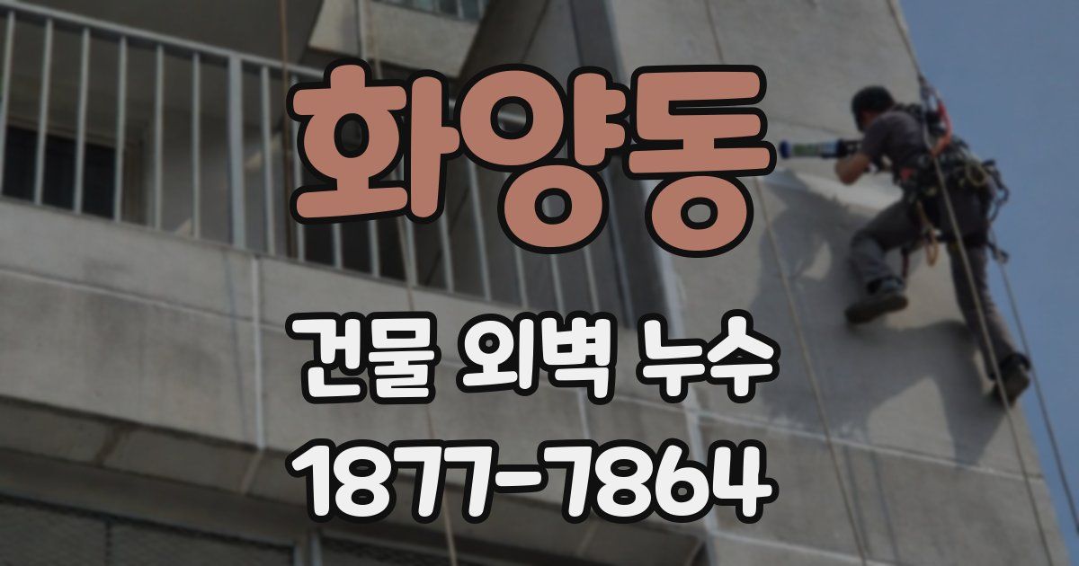 화양동 건물 외벽 누수
