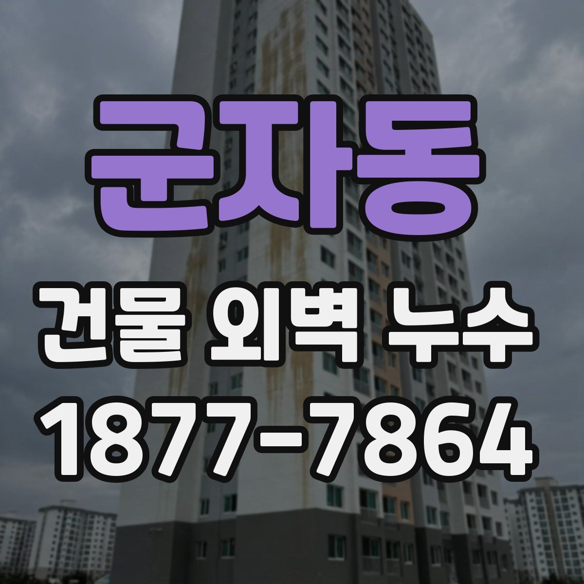 군자동 건물 외벽 누수