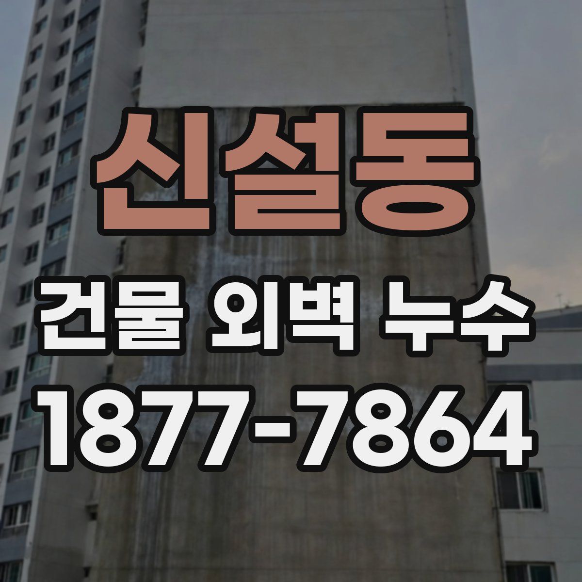 신설동 건물 외벽 누수