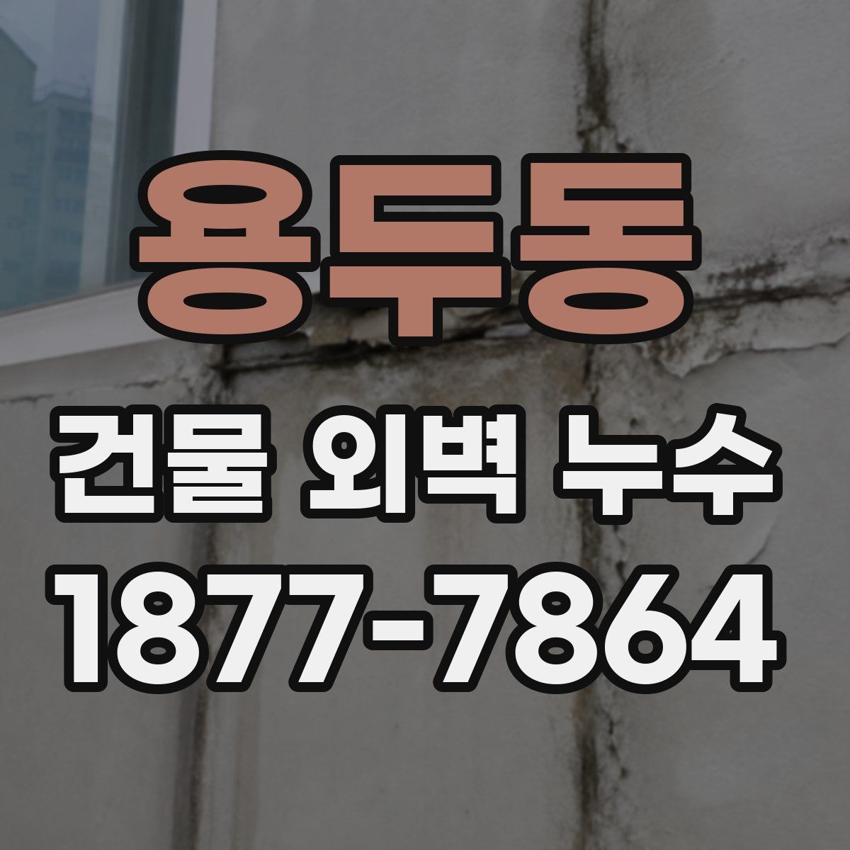 용두동 건물 외벽 누수