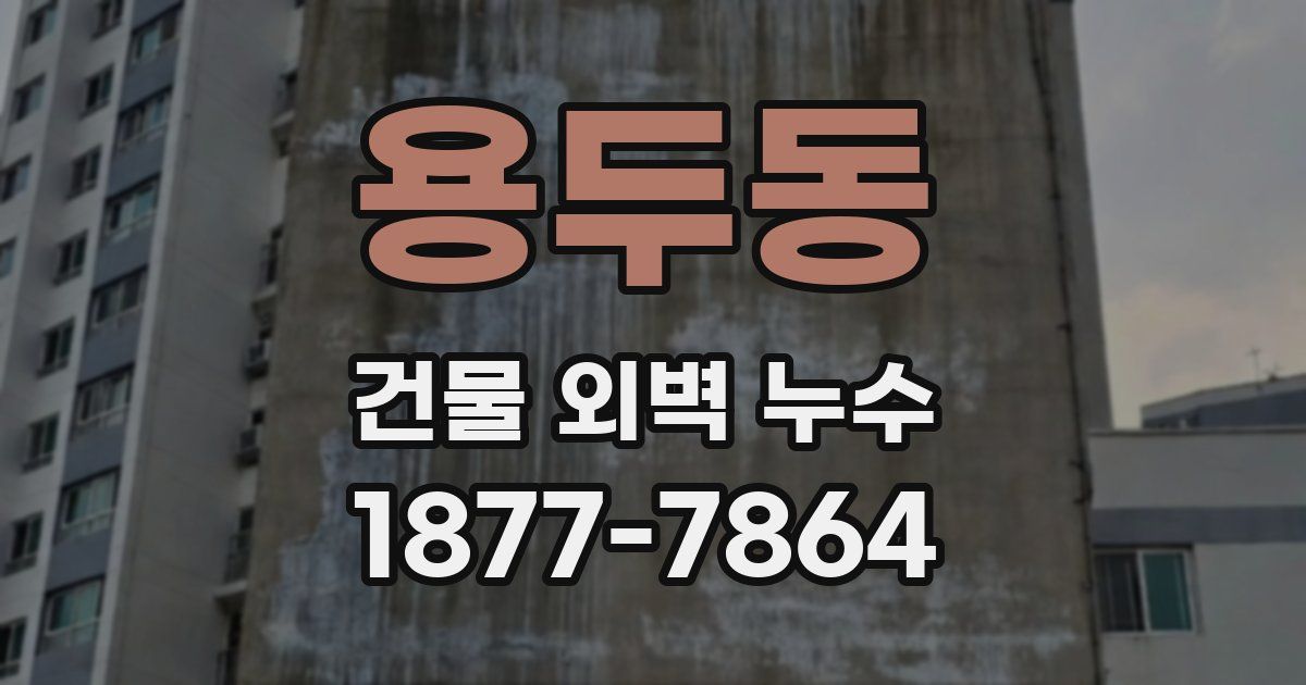 용두동 건물 외벽 누수