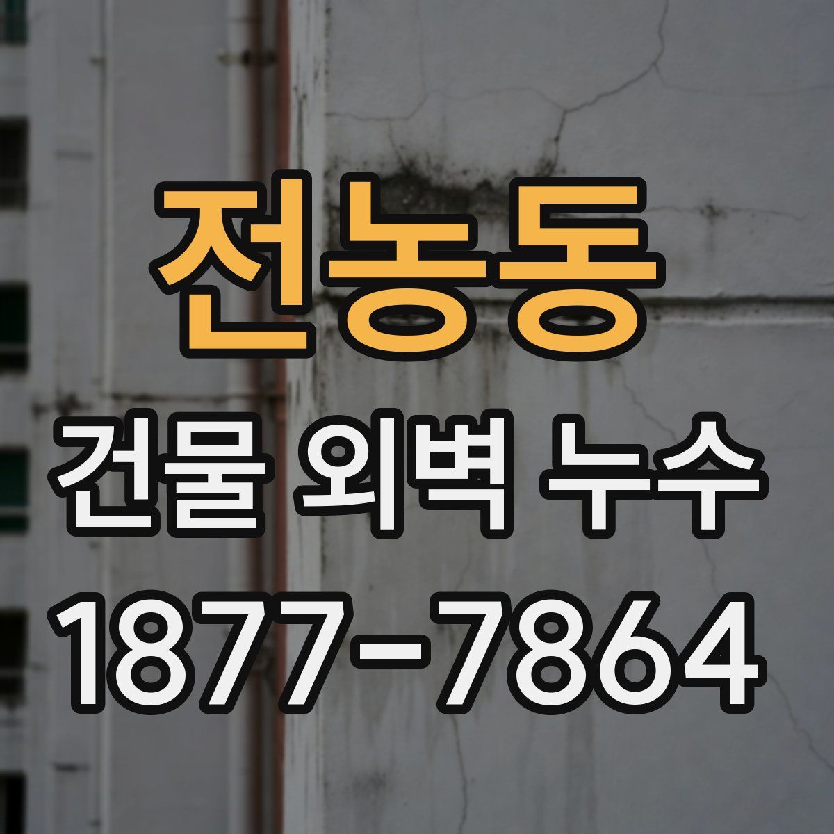 전농동 건물 외벽 누수