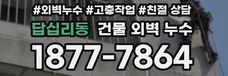 답십리동 건물 외벽 누수