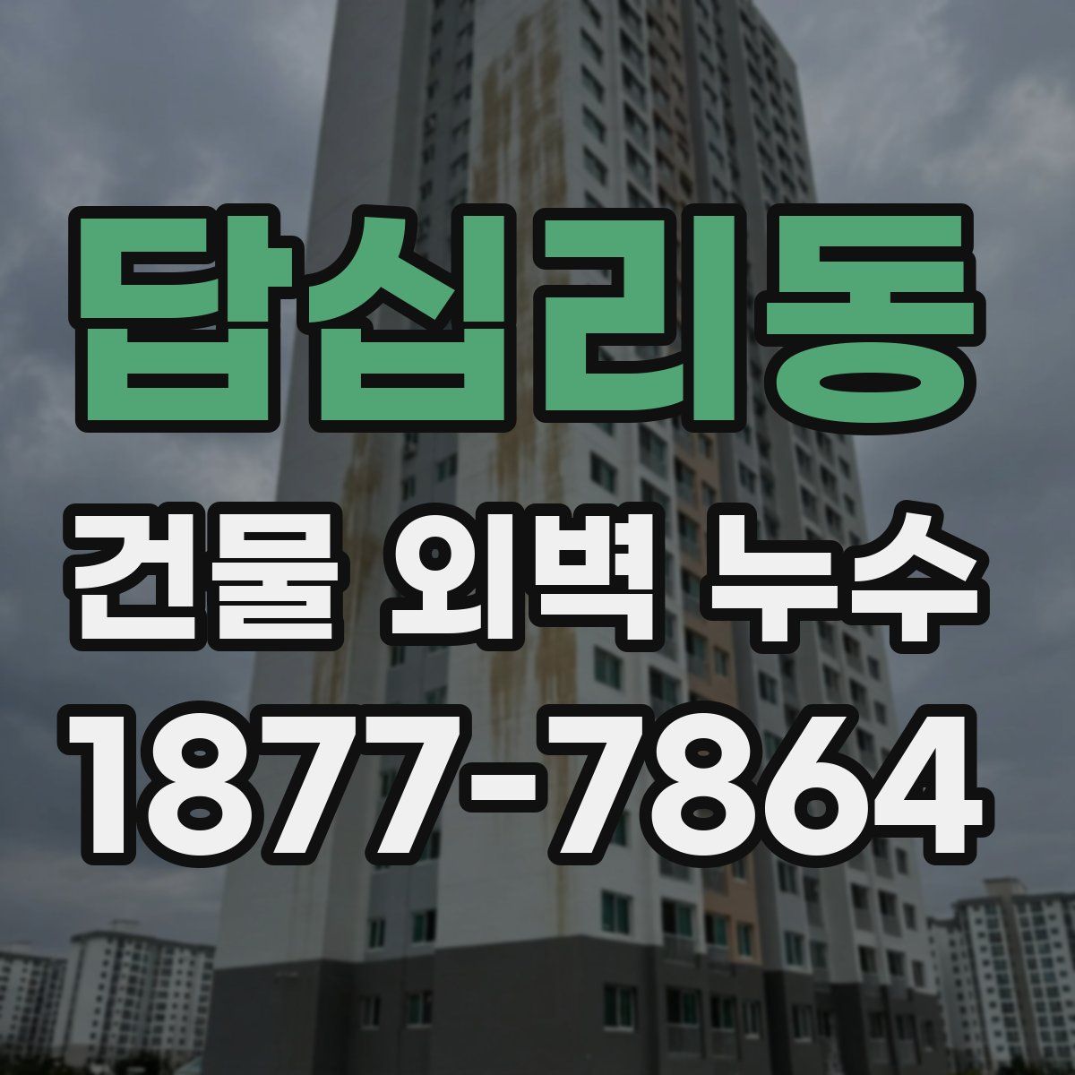 답십리동 건물 외벽 누수