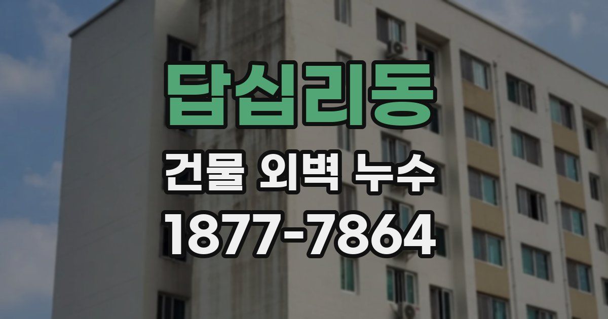 답십리동 건물 외벽 누수