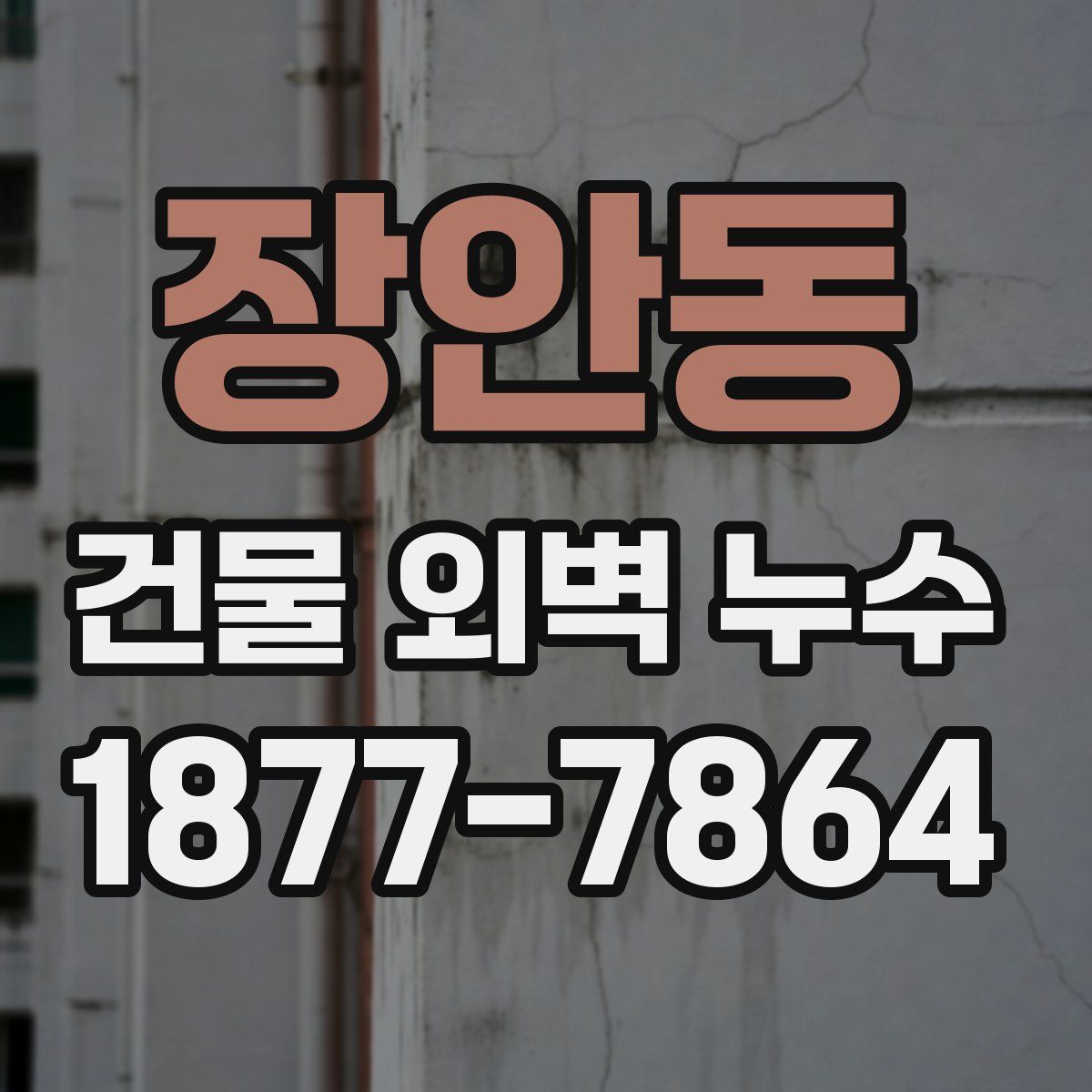 장안동 건물 외벽 누수