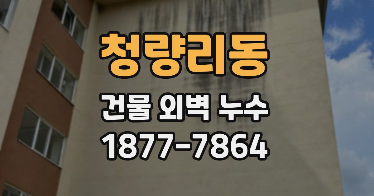 청량리동 건물 외벽 누수
