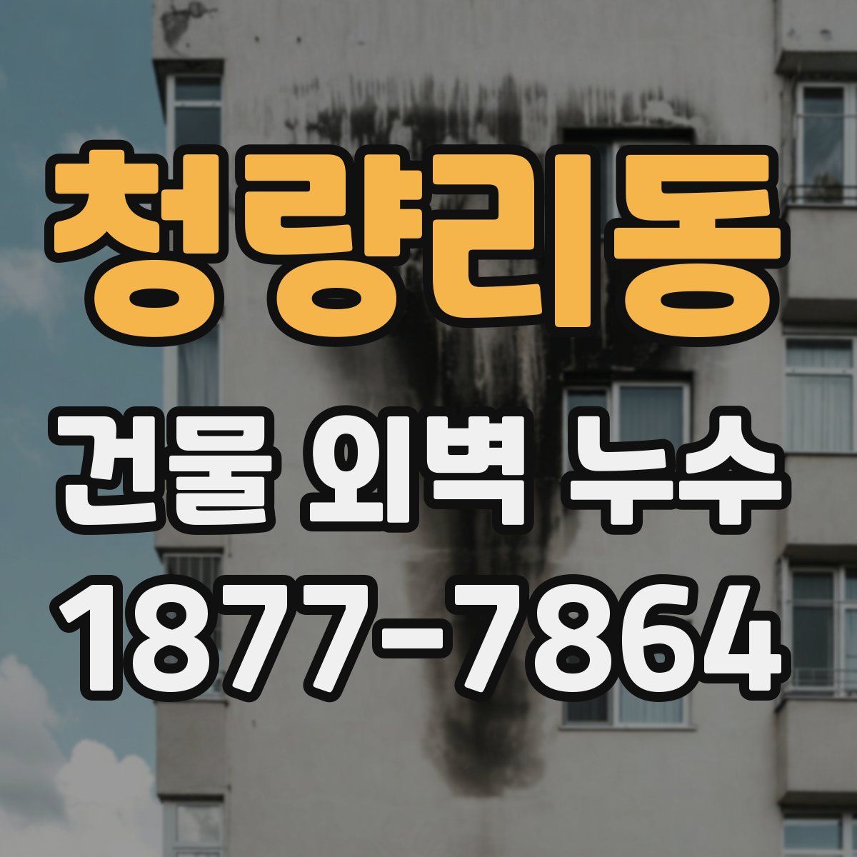 청량리동 건물 외벽 누수