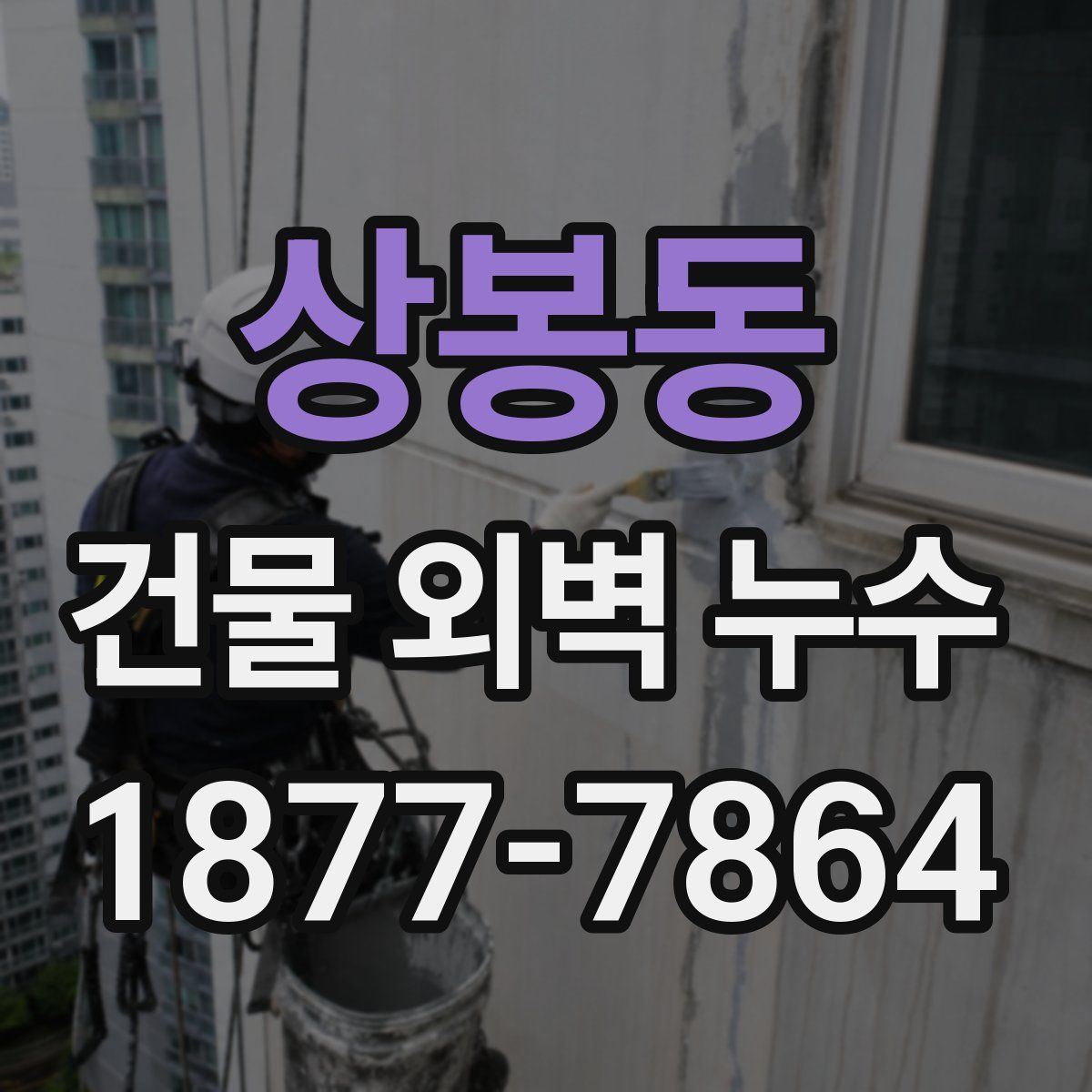 상봉동 건물 외벽 누수