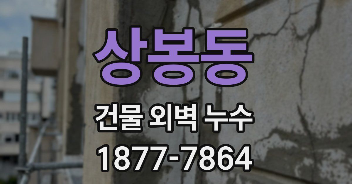 상봉동 건물 외벽 누수