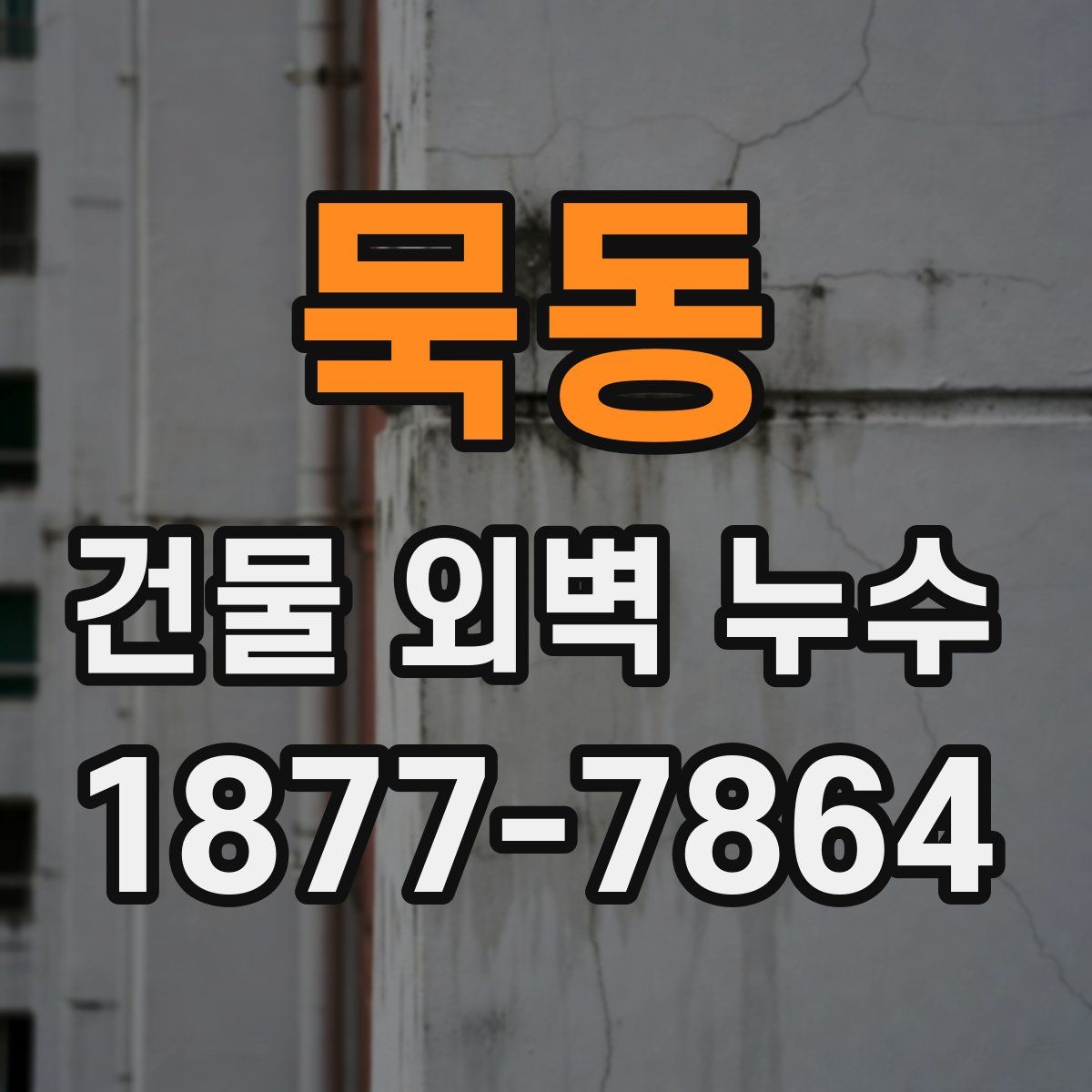 묵동 건물 외벽 누수