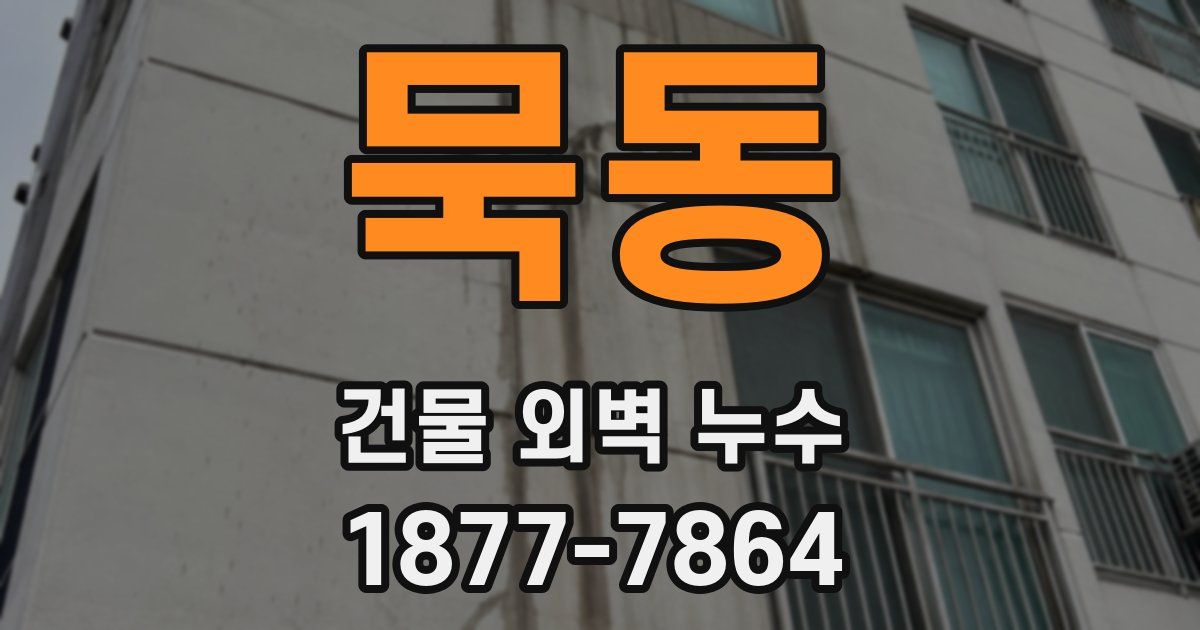 묵동 건물 외벽 누수