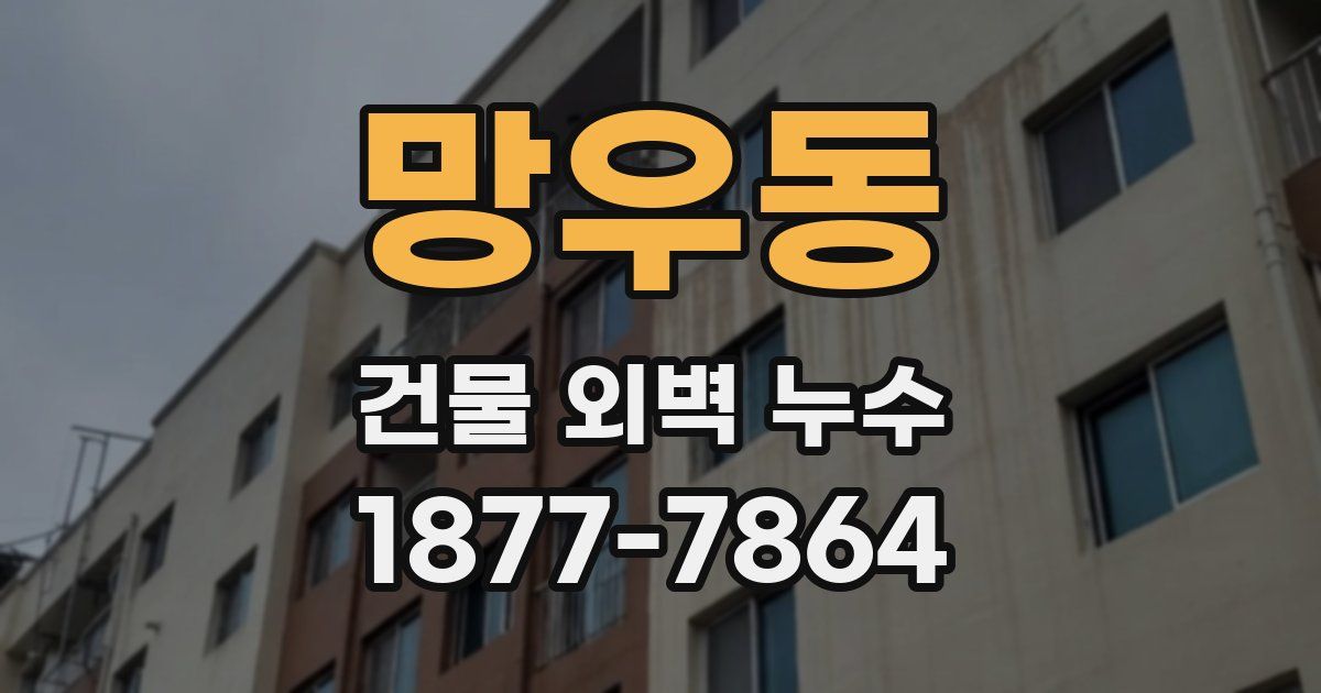 망우동 건물 외벽 누수