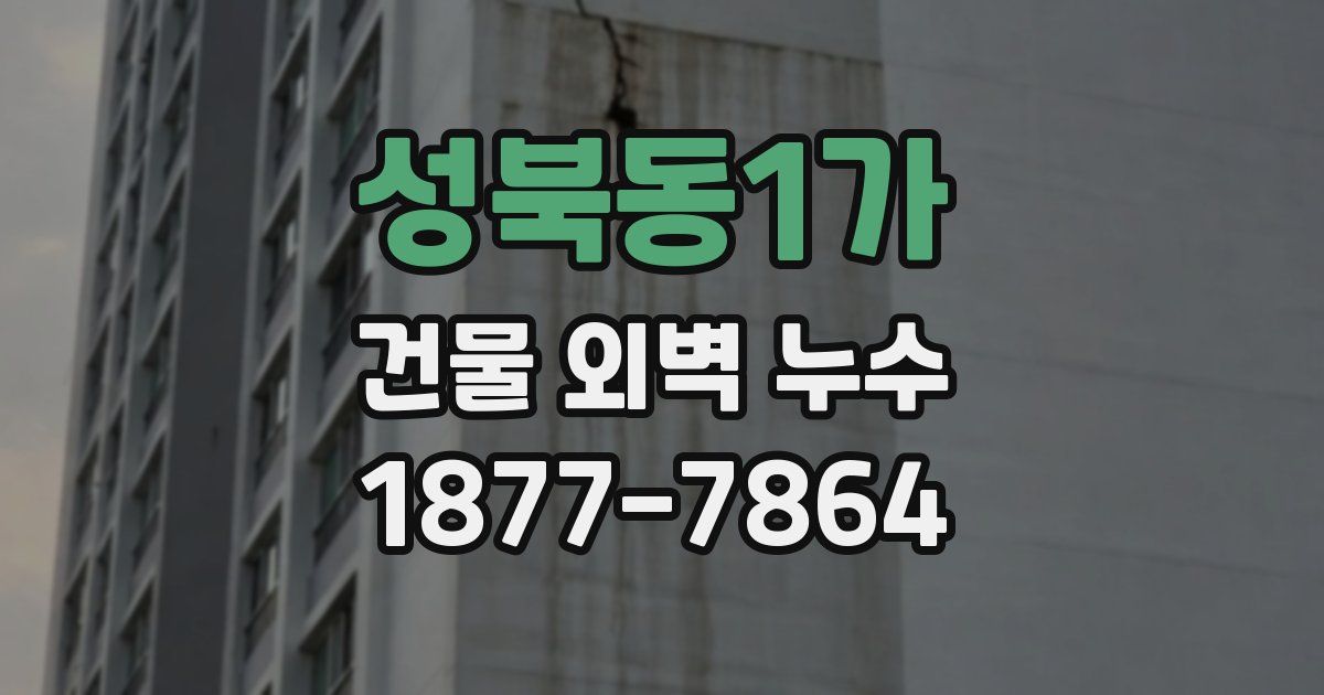 성북동1가 건물 외벽 누수