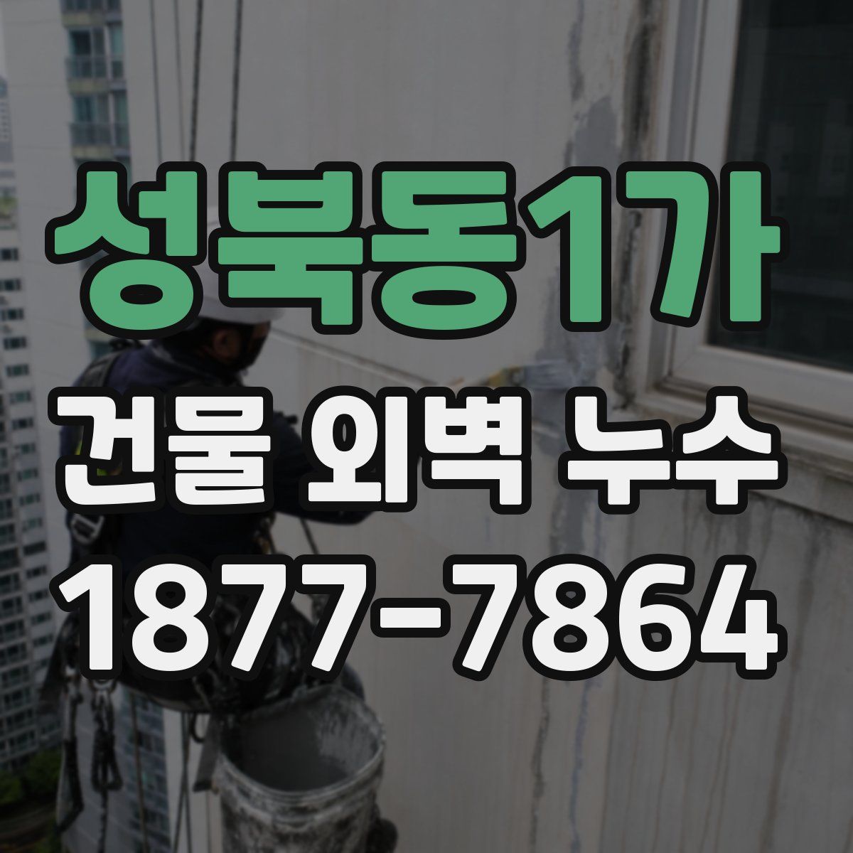 성북동1가 건물 외벽 누수