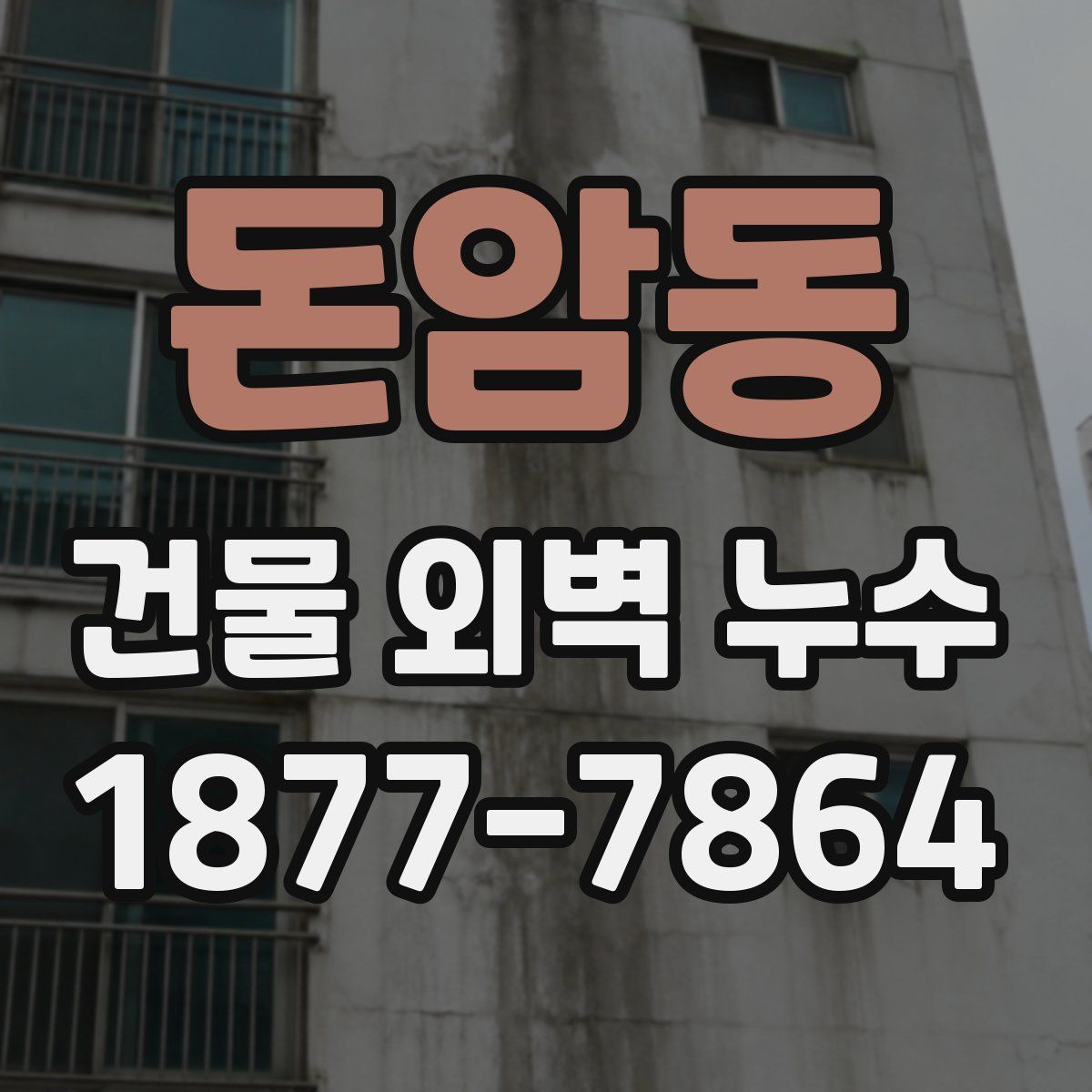 돈암동 건물 외벽 누수