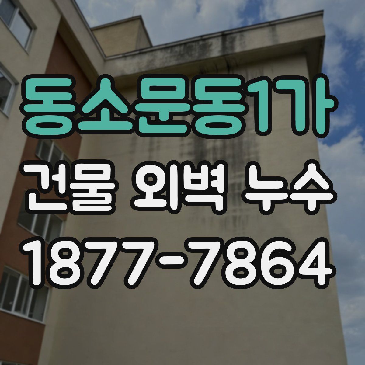 동소문동1가 건물 외벽 누수