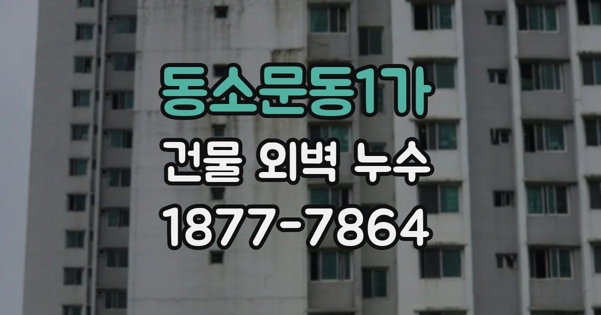 동소문동1가 건물 외벽 누수