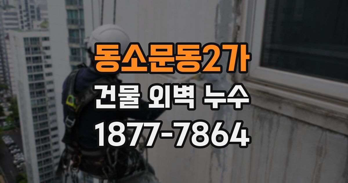동소문동2가 건물 외벽 누수