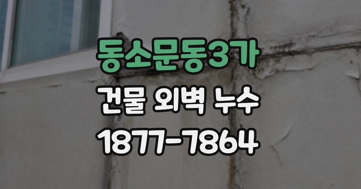 동소문동3가 건물 외벽 누수
