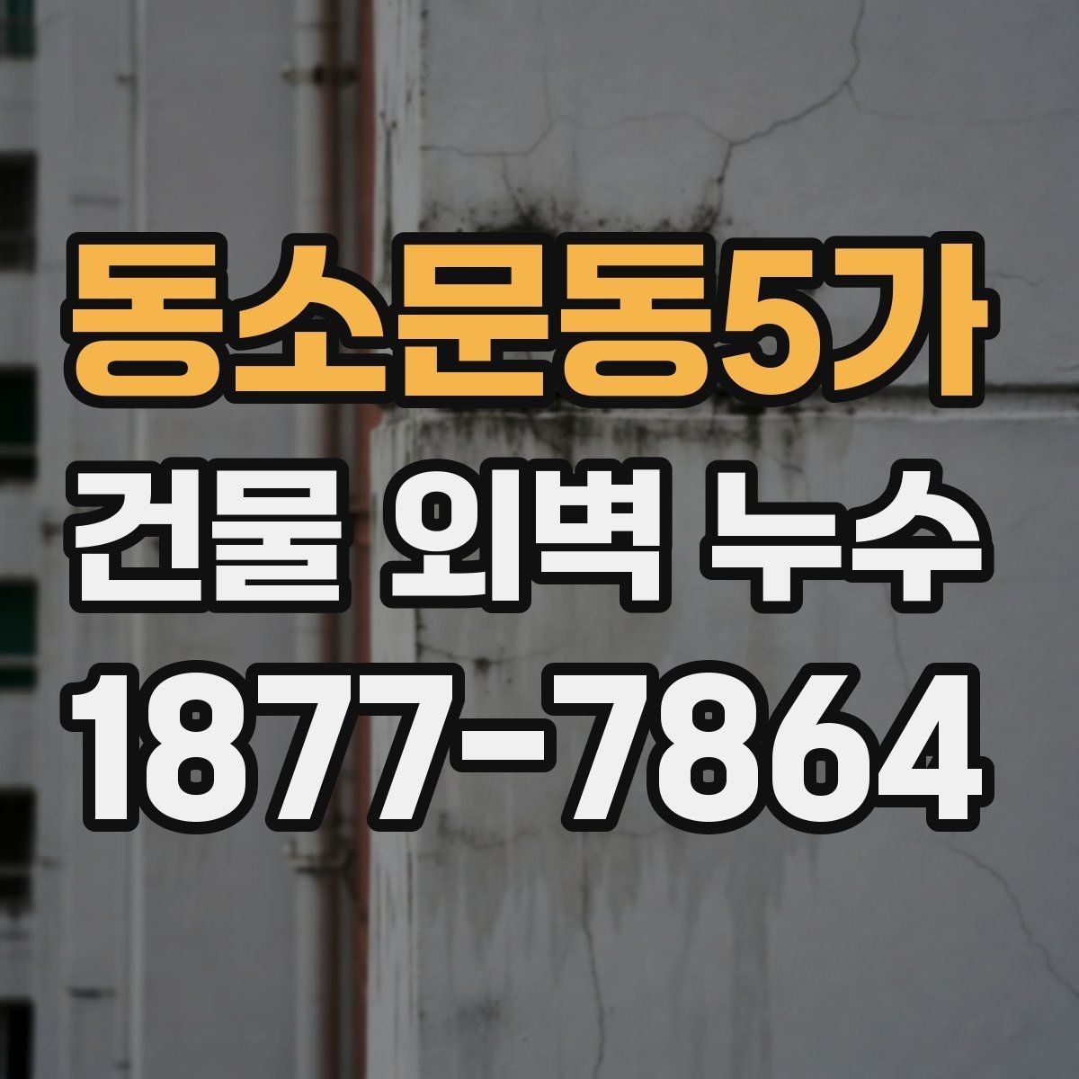 동소문동5가 건물 외벽 누수 발생 후 빠른 확인 방법