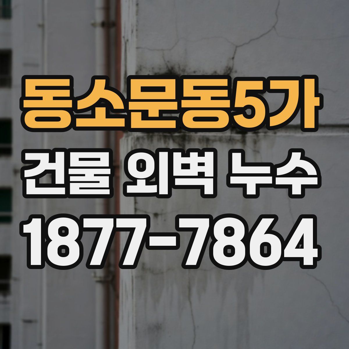 동소문동5가 건물 외벽 누수