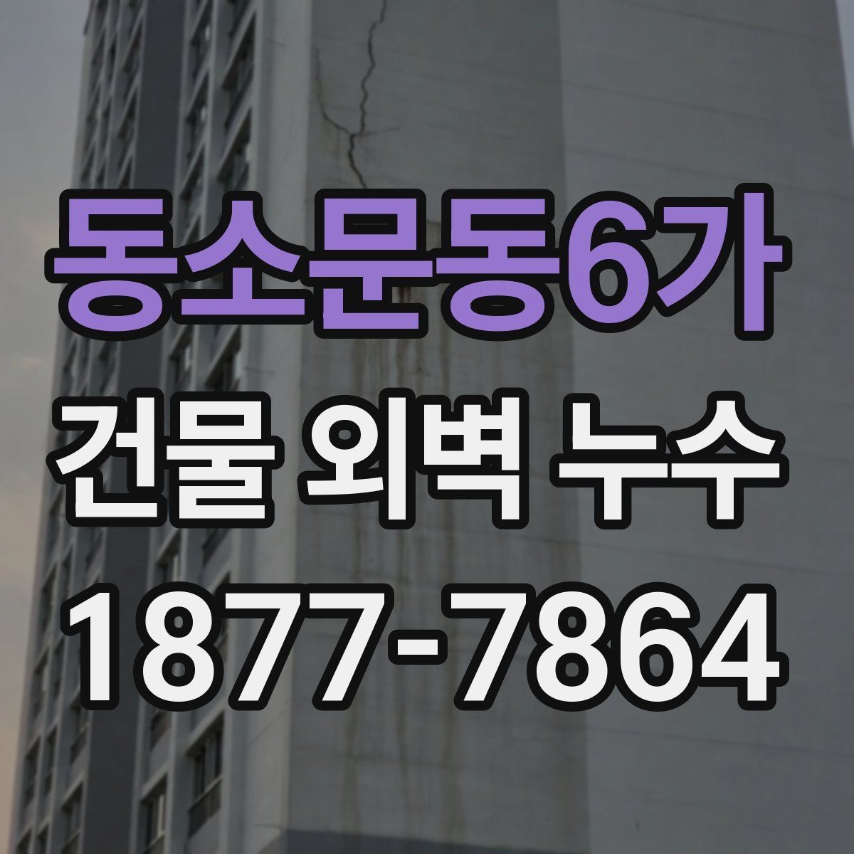 동소문동6가 건물 외벽 누수 조사 시 확인할 항목