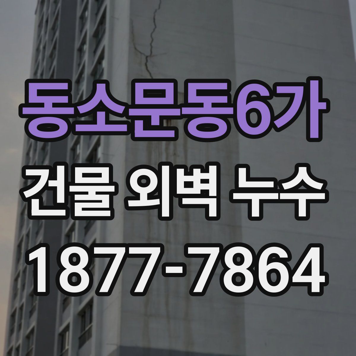 동소문동6가 건물 외벽 누수