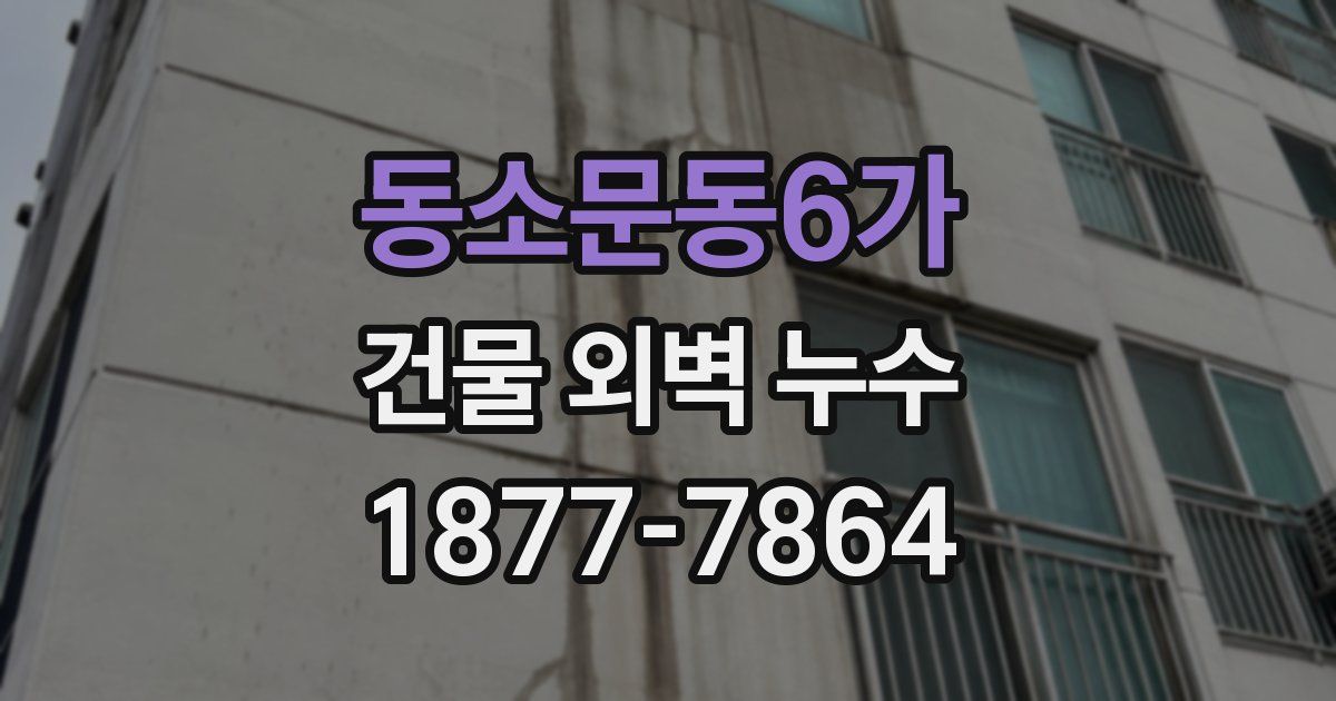 동소문동6가 건물 외벽 누수