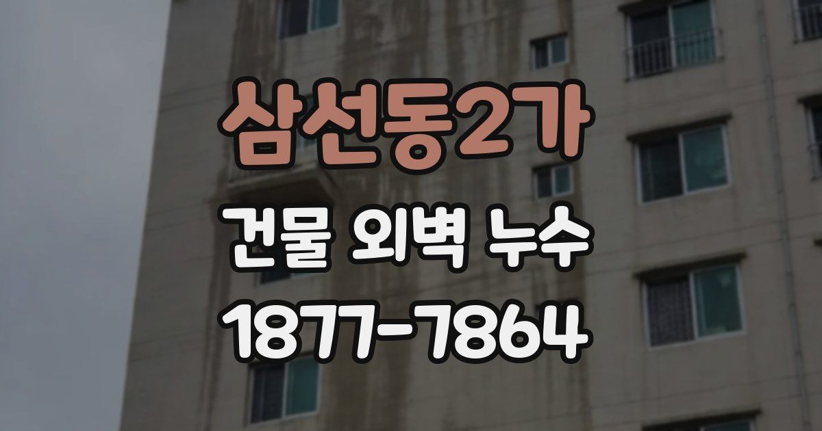 삼선동2가 건물 외벽 누수