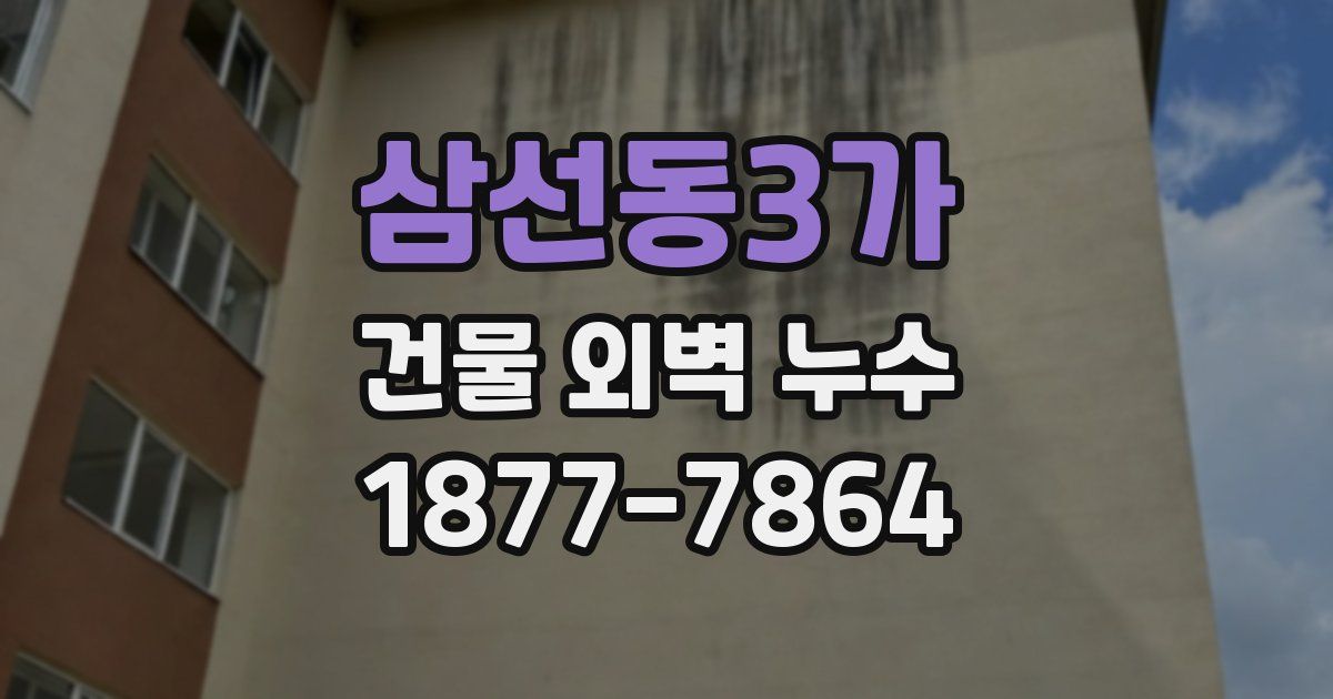 삼선동3가 건물 외벽 누수
