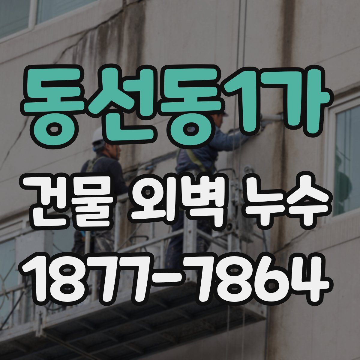 동선동1가 건물 외벽 누수