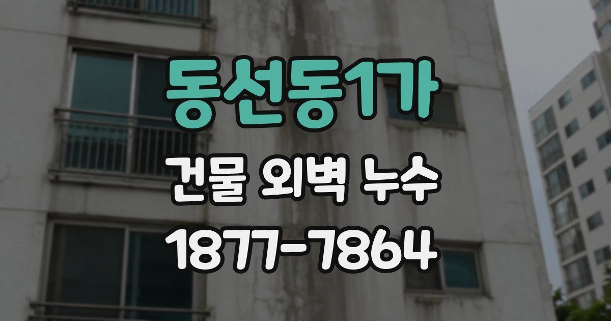 동선동1가 건물 외벽 누수