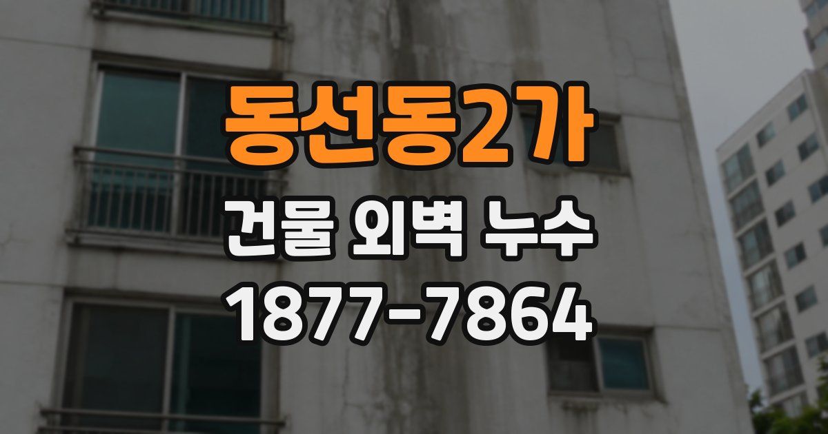 동선동2가 건물 외벽 누수