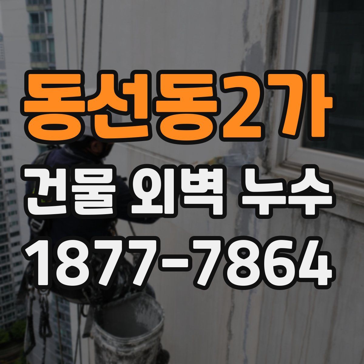 동선동2가 건물 외벽 누수