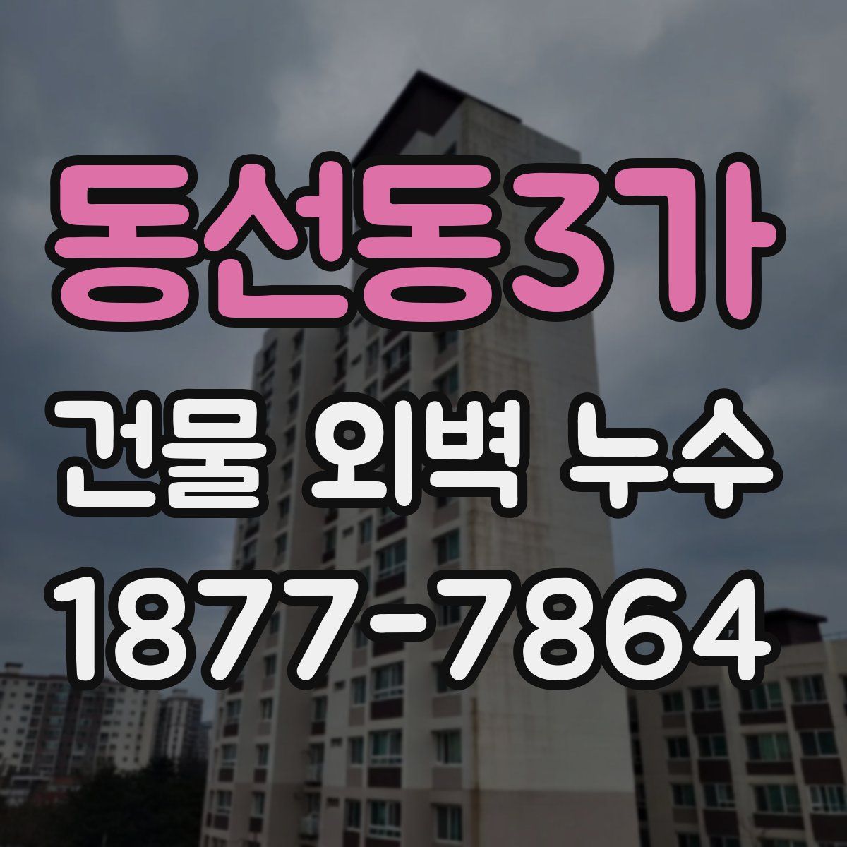 동선동3가 건물 외벽 누수