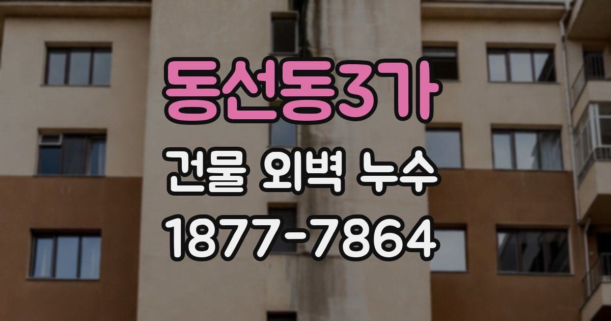 동선동3가 건물 외벽 누수