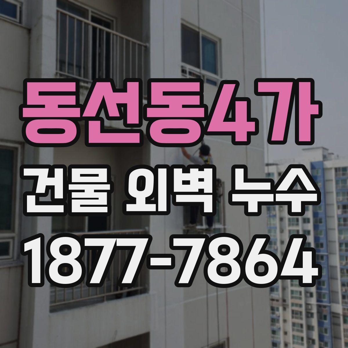 동선동4가 건물 외벽 누수